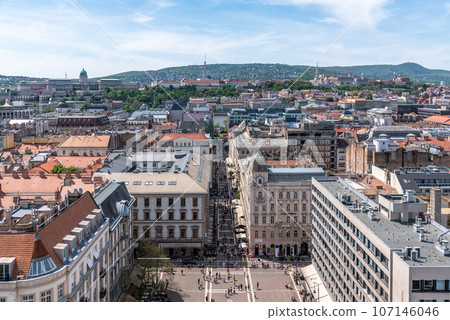 Cityscape of Budapest capital city of Hungary Cityscape of Budapest capital city of Hungary 107146046