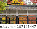 Nanzenji in autumn 107146447