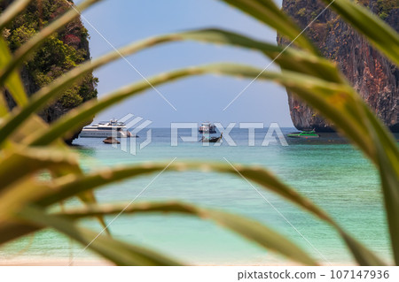 The legendary Maya Bay beach without people where the film "beach" with Leonardo DiCaprio was filmed with a beautiful bay of sand and clear turquoise water. UNESCO World Heritage. The legendary Maya Bay beach without people where the film "beach" with Leonardo DiCaprio was filmed with a beautiful bay of sand and clear turquoise water. UNESCO World Heritage. 107147936