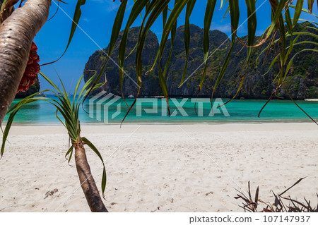 The legendary Maya Bay beach without people where the film "beach" with Leonardo DiCaprio was filmed with a beautiful bay of sand and clear turquoise water. UNESCO World Heritage. The legendary Maya Bay beach without people where the film "beach" with Leonardo DiCaprio was filmed with a beautiful bay of sand and clear turquoise water. UNESCO World Heritage. 107147937