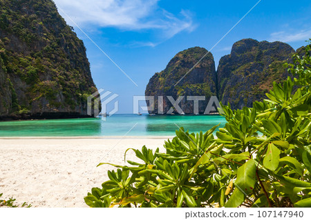 The legendary Maya Bay beach without people where the film "beach" with Leonardo DiCaprio was filmed with a beautiful bay of sand and clear turquoise water. UNESCO World Heritage. 107147940