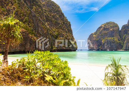 The legendary Maya Bay beach without people where the film "beach" with Leonardo DiCaprio was filmed with a beautiful bay of sand and clear turquoise water. UNESCO World Heritage. The legendary Maya Bay beach without people where the film "beach" with Leonardo DiCaprio was filmed with a beautiful bay of sand and clear turquoise water. UNESCO World Heritage. 107147947