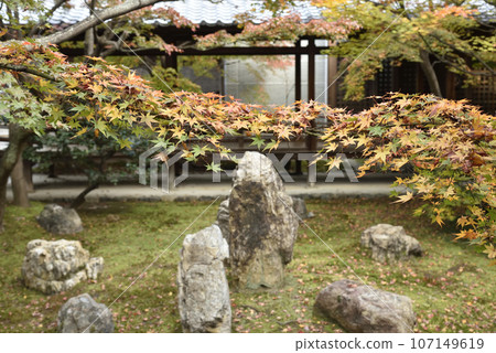 Autumn Choontei Kenninji Temple Autumn Choontei Kenninji Temple 107149619