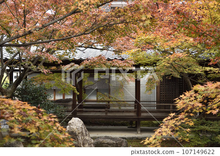 Autumn Choontei Kenninji Temple Autumn Choontei Kenninji Temple 107149622