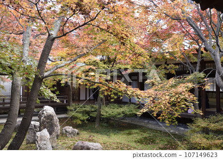 Autumn Choontei Kenninji Temple 107149623