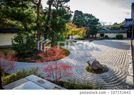 東寺院的秋天，北條南庭枯山水，秋日柔和的陽光灑在假山花園的沙地上 107151642