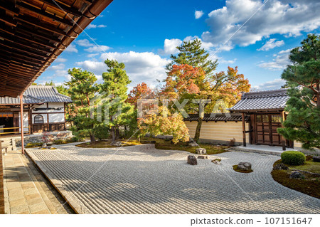 秋天的北條南庭東寺院,秋葉開始變色,柔和的西陽光照在枯山水庭園的唐門和沙地上。 秋天的北條南庭東寺院,秋葉開始變色,柔和的西陽光照在枯山水庭園的唐門和沙地上。 107151647