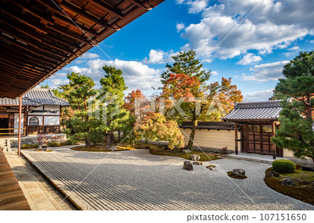 秋天的北條南庭東寺院,秋葉開始變色,柔和的西陽光照在枯山水庭園的唐門和沙地上。 秋天的北條南庭東寺院,秋葉開始變色,柔和的西陽光照在枯山水庭園的唐門和沙地上。 107151650