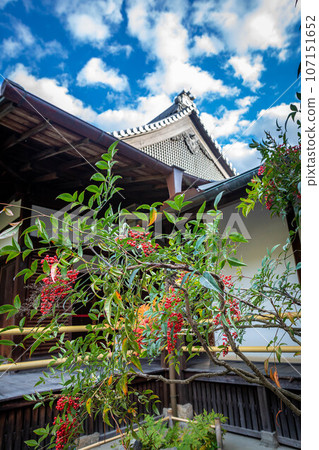 東人院的秋天,南天的藍天和紅果 東人院的秋天,南天的藍天和紅果 107151652