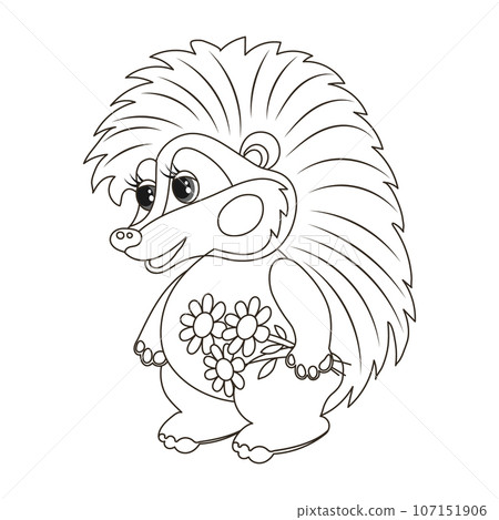 Cute cartoon baby hedgehog with a bouquet of flowers. Sketch, outline drawing for a coloring book. Vector Cute cartoon baby hedgehog with a bouquet of flowers. Sketch, outline drawing for a coloring book. Vector 107151906
