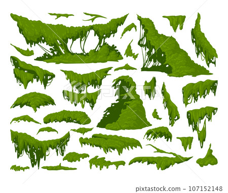 Green moss plants. Cartoon jungle moss hanging and creeping, lichen and moss flat vector illustration set. Tropical rainy forest flora collection Green moss plants. Cartoon jungle moss hanging and creeping, lichen and moss flat vector illustration set. Tropical rainy forest flora collection 107152148