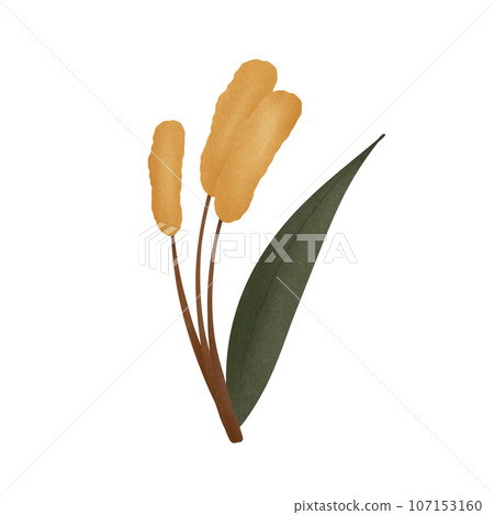draw a cartoon of grass flower, no background 107153160
