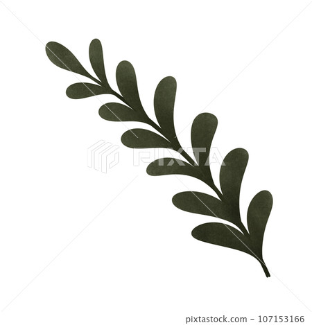 cartoon of green olive branch, no background, Autumn cartoon of green olive branch, no background, Autumn 107153166
