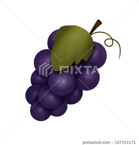 Cute cartoon of purple grape no background Cute cartoon of purple grape no background 107153171