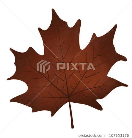Red dry maple leaf in Autumn, no background Red dry maple leaf in Autumn, no background 107153176