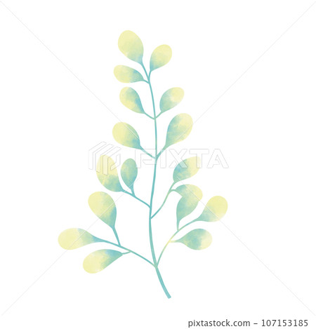 green-yellow water plant in the sea and ocean, no background 107153185