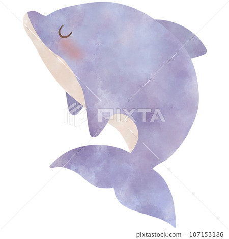 cate cartoon purple dolphin, no background 107153186