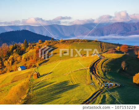 carpathian countryside at sunrise in autumn. rural fields and forested hill in morning light. distant ridge beneath s sky with clouds. wooden fence along the path uphill. view from above carpathian countryside at sunrise in autumn. rural fields and forested hill in morning light. distant ridge beneath s sky with clouds. wooden fence along the path uphill. view from above 107153229