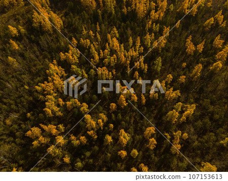 Golden Autumn in Wisconsin Golden Autumn in Wisconsin 107153613