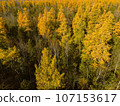 Golden Autumn in Wisconsin 107153617