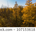 Golden Autumn in Wisconsin 107153618