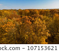 Golden Autumn in Wisconsin 107153621