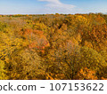 Golden Autumn in Wisconsin 107153622