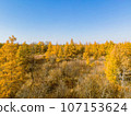 Golden Autumn in Wisconsin 107153624
