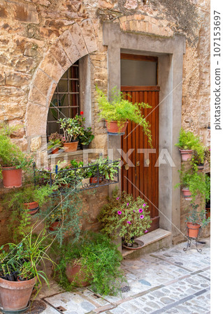 Contemporary design of wooden door decorated with flowers in pots. Contemporary design of wooden door decorated with flowers in pots. 107153697