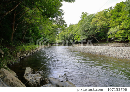 伊勢神宮的五十鈴河 伊勢神宮的五十鈴河 107153796