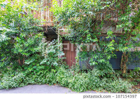 An empty house covered in grass and ivy after the residents left 107154397