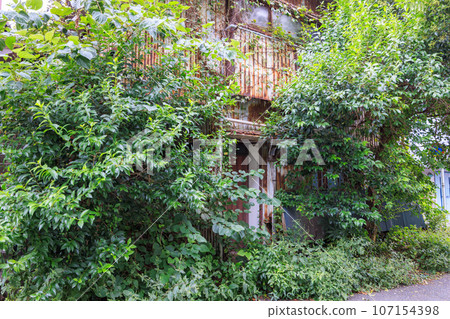 An empty house covered in grass and ivy after the residents left 107154398