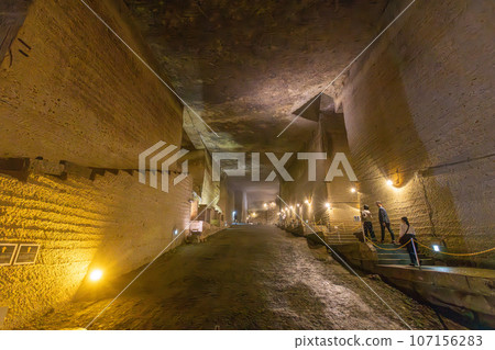 大谷美術館 107156283