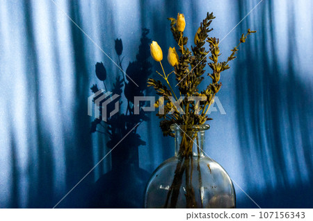 Beautiful still life with a bouquet of dried wildflowers in a glass vase on a deep blue background with vertical shadows. Interior decor of a rural house. Floral arrangement. Floral shadow on a wall. Beautiful still life with a bouquet of dried wildflowers in a glass vase on a deep blue background with vertical shadows. Interior decor of a rural house. Floral arrangement. Floral shadow on a wall. 107156343