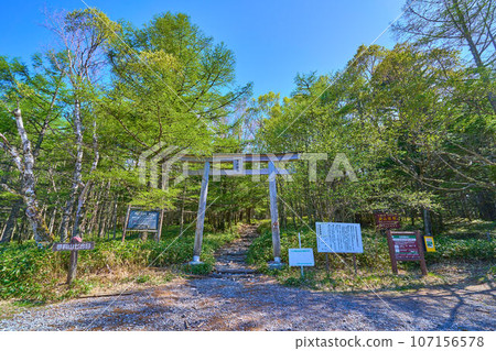 春天的長野縣蓼科町蓼科山七合目鳥居和登山口 春天的長野縣蓼科町蓼科山七合目鳥居和登山口 107156578