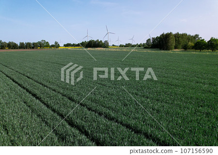 Wind turbine on grassy green field against cloudy blue sky in rural area. Offshore windmill park with clouds in farmland Poland Europe. Wind power plant generating electricity. Renewable green clean 107156590