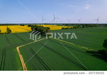 Aerial view Wind turbine on grassy yellow farm canola field against cloudy blue sky in rural area. Offshore windmill park with clouds in farmland Poland Europe. Wind power plant generating electricity 107156591