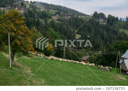 Aerial view from drone Picturesque landscape with small village with typical residential houses on grassy meadow surrounded by green and snowy mountains against cloudy blue sky in Zakopane Poland 107156755