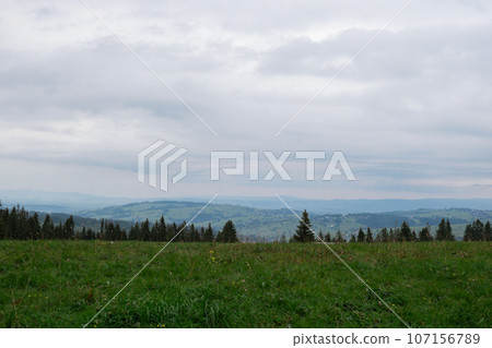 Snowy mountains, green forests In National park Zakopane Poland. Mountain nature landscape. Blue sky. Travel outdoors green tourism concept Naturecore 107156789