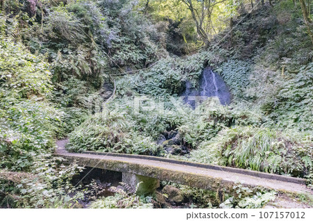 Niigata Shiratama Falls Medaki 107157012