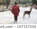 Nara, Japan - March 14, 2013 107157330