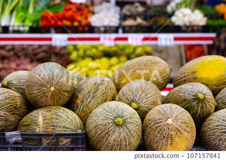 Sweet melons on the counter of the fruit store Sweet melons on the counter of the fruit store 107157841
