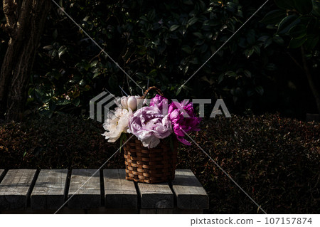A large flower that has a gorgeous appearance and flower personality, and is called Kao and Lady, and has a noble atmosphere. 107157874