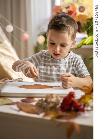 A child makes a herbarium from autumn colorful leaves. Happy autumn time. A child makes a herbarium from autumn colorful leaves. Happy autumn time. 107158469