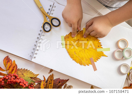 A child makes a herbarium from autumn colorful leaves. Happy autumn time. A child makes a herbarium from autumn colorful leaves. Happy autumn time. 107158471