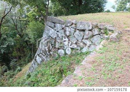 與石牆的風景 與石牆的風景 107159178