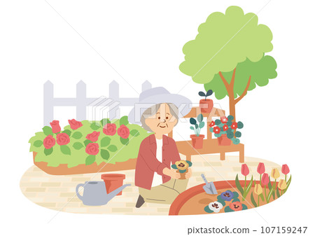 Illustration of a senior woman enjoying gardening in the garden Illustration of a senior woman enjoying gardening in the garden 107159247