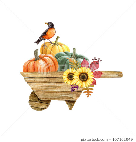 Autumn vintage style decor with pumpkins in a wooden barrow. Watercolor illustration. Hand drawn cozy autumn decor with perched robin bird. Pumpkins in wooden wheelbarrow with floral decoration 107161049