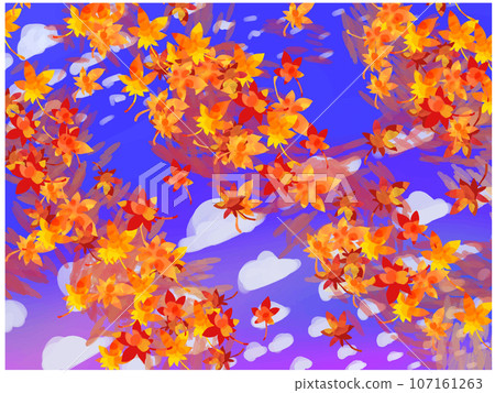 秋天的楓葉和鱗片雲 107161263