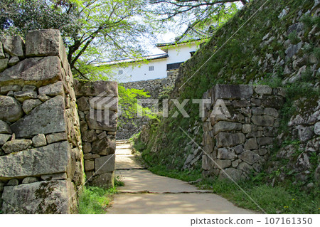 Hikone Castle - A narrow road passing between high stone walls Hikone Castle - A narrow road passing between high stone walls 107161350